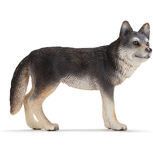 Wolf Female