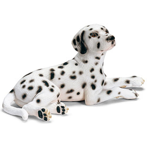 Dalmation