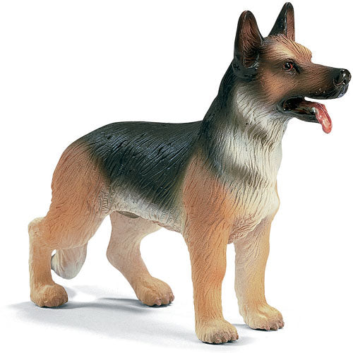 German Shepard Standing