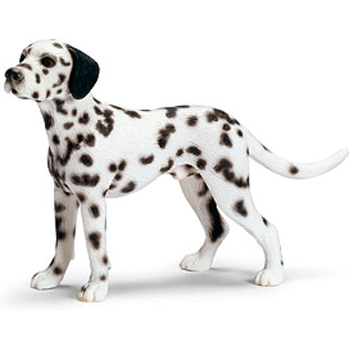 DALMATION