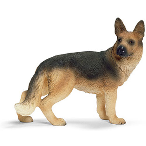 GERMAN SHEPHERD FEMALE