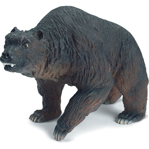 Cave Bear