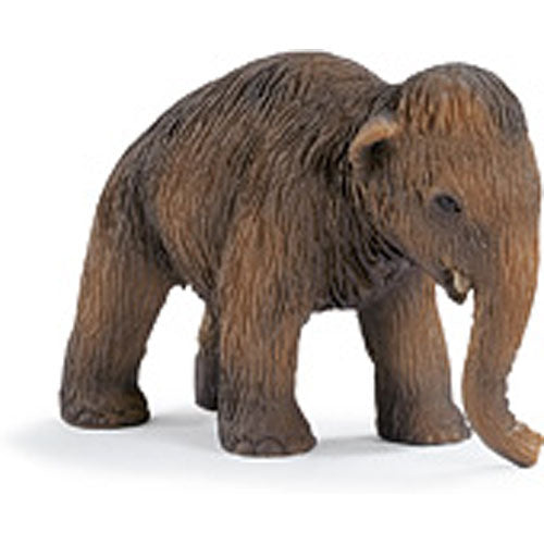 Wooly Mammoth Baby