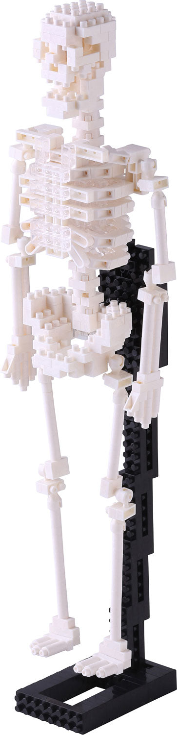 Nanoblock - Human Skeleton