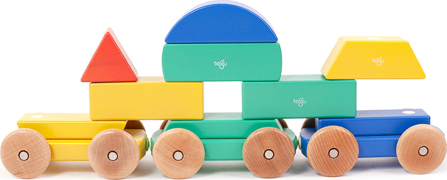 Magnetic Shape Train Tegu Baby and Toddler (9 pieces) color: BIG TOP