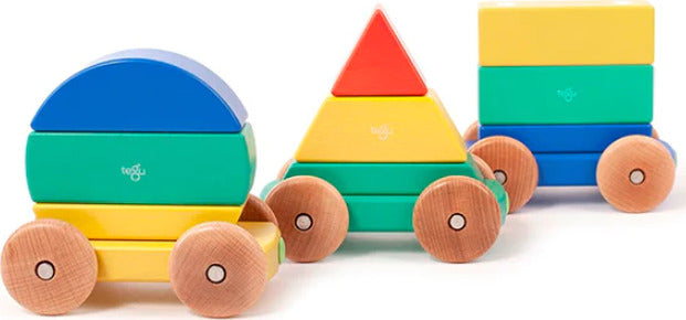 Magnetic Shape Train Tegu Baby and Toddler (9 pieces) color: BIG TOP