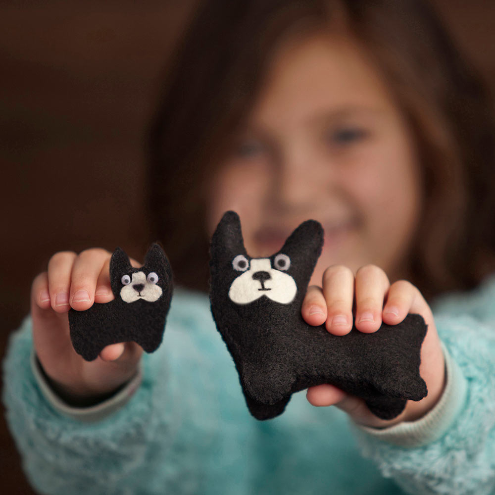 Craft-tastic Puppy Love Kit