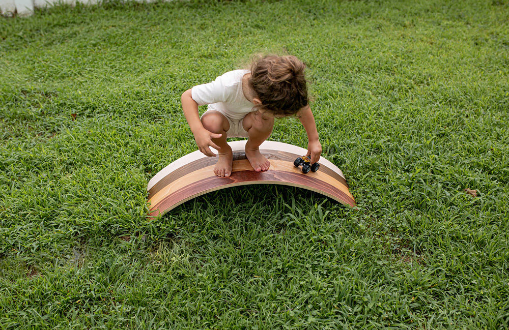Diversity Wobble Board - Regular size