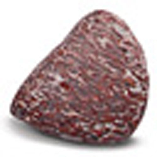 Ultimate Dino Dig Kit