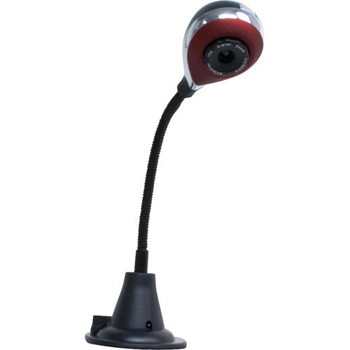 Bild + Animate- Animation Studio Kit