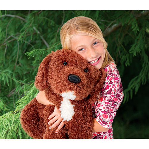 Douglas Cedar Extra Large Chocolate Labradoodle