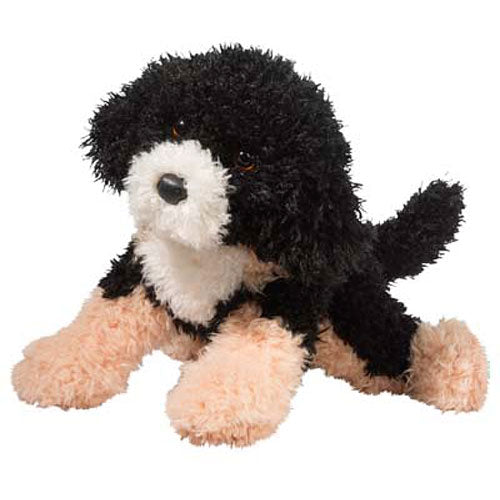 Douglas Jester Bernedoodle