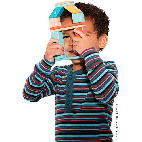 Tegu Magnetic Wooden Blocks Sunset 42 pc set