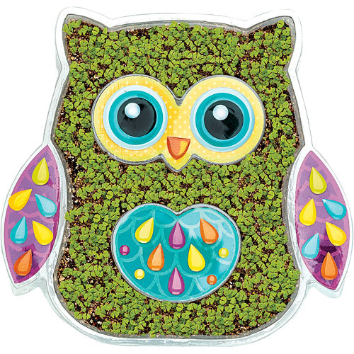 Grow An Owl