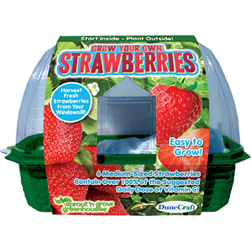 Grow Your Own Strawberries