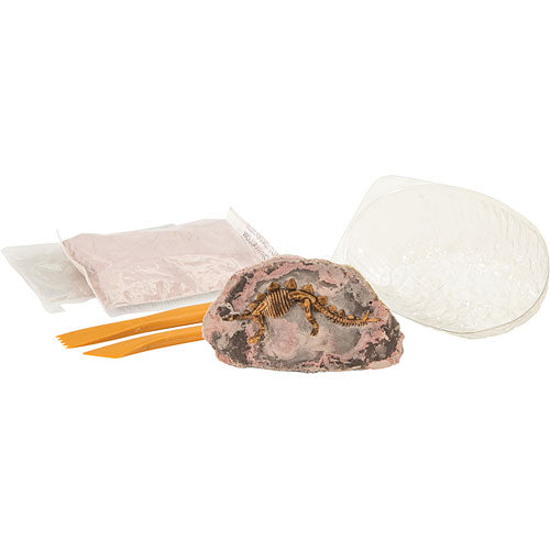 Dinosaur Skeleton Dig