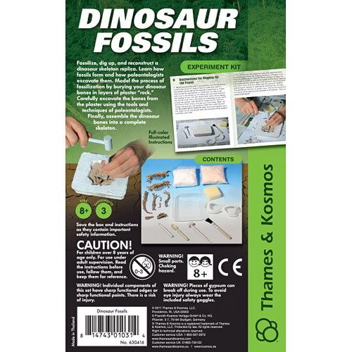 Dinosaur Fossils