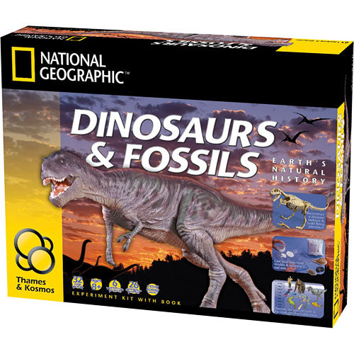 Dinosaurs & Fossils