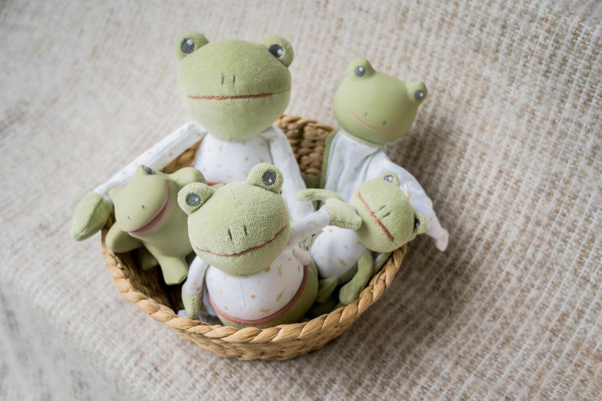 Gemba The Frog - Baby Chime Ball Toy