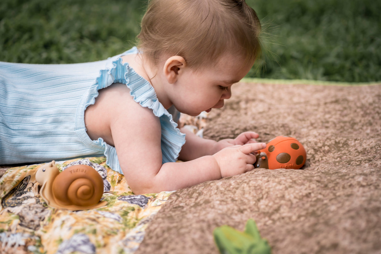 Ladybug Natural Rubber Teether, Rattle & Bath Toy