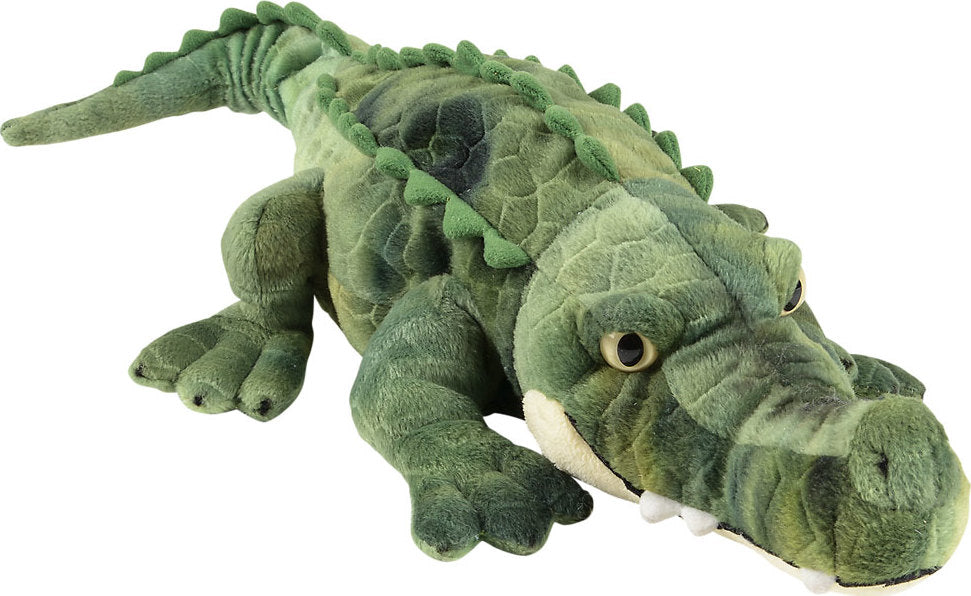 17.75" Crocodile
