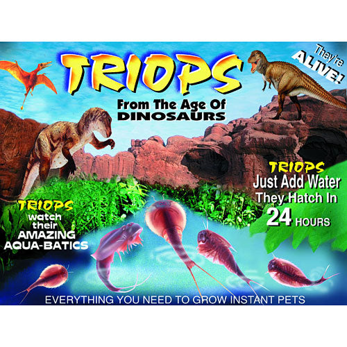 Triops - Countertop Envelope