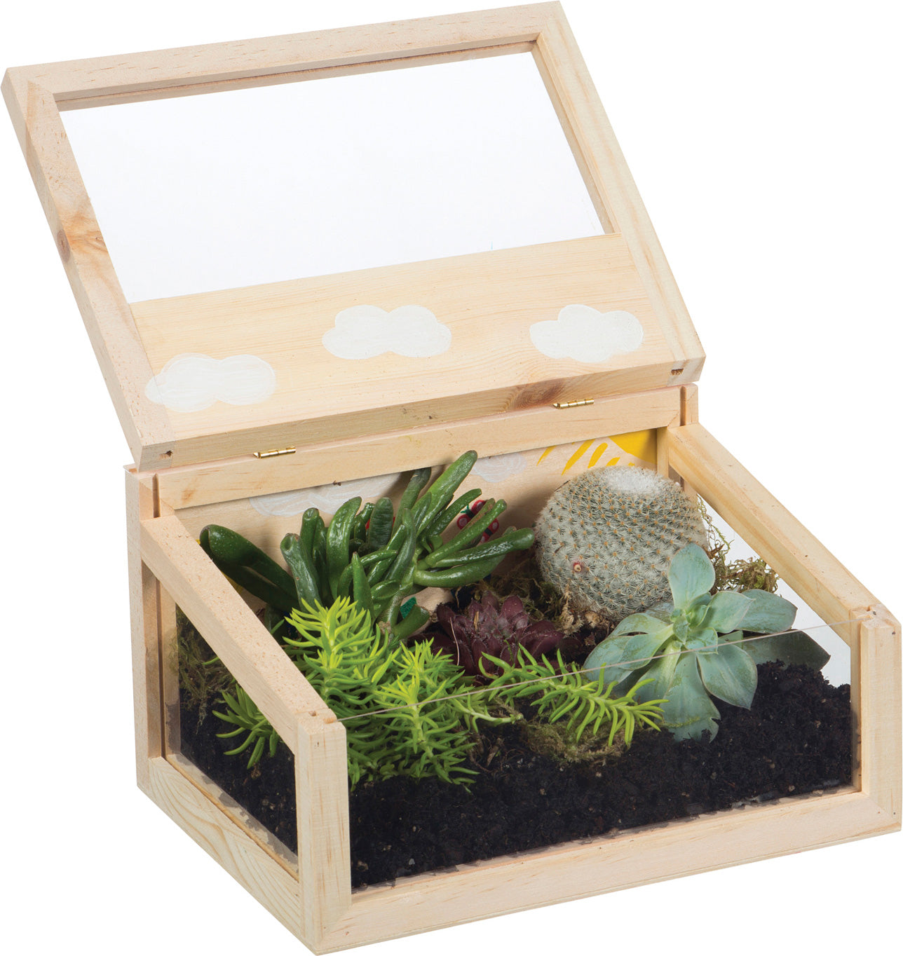 Paint A Terrarium