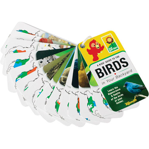 Bird Feeder W/Fld Guide