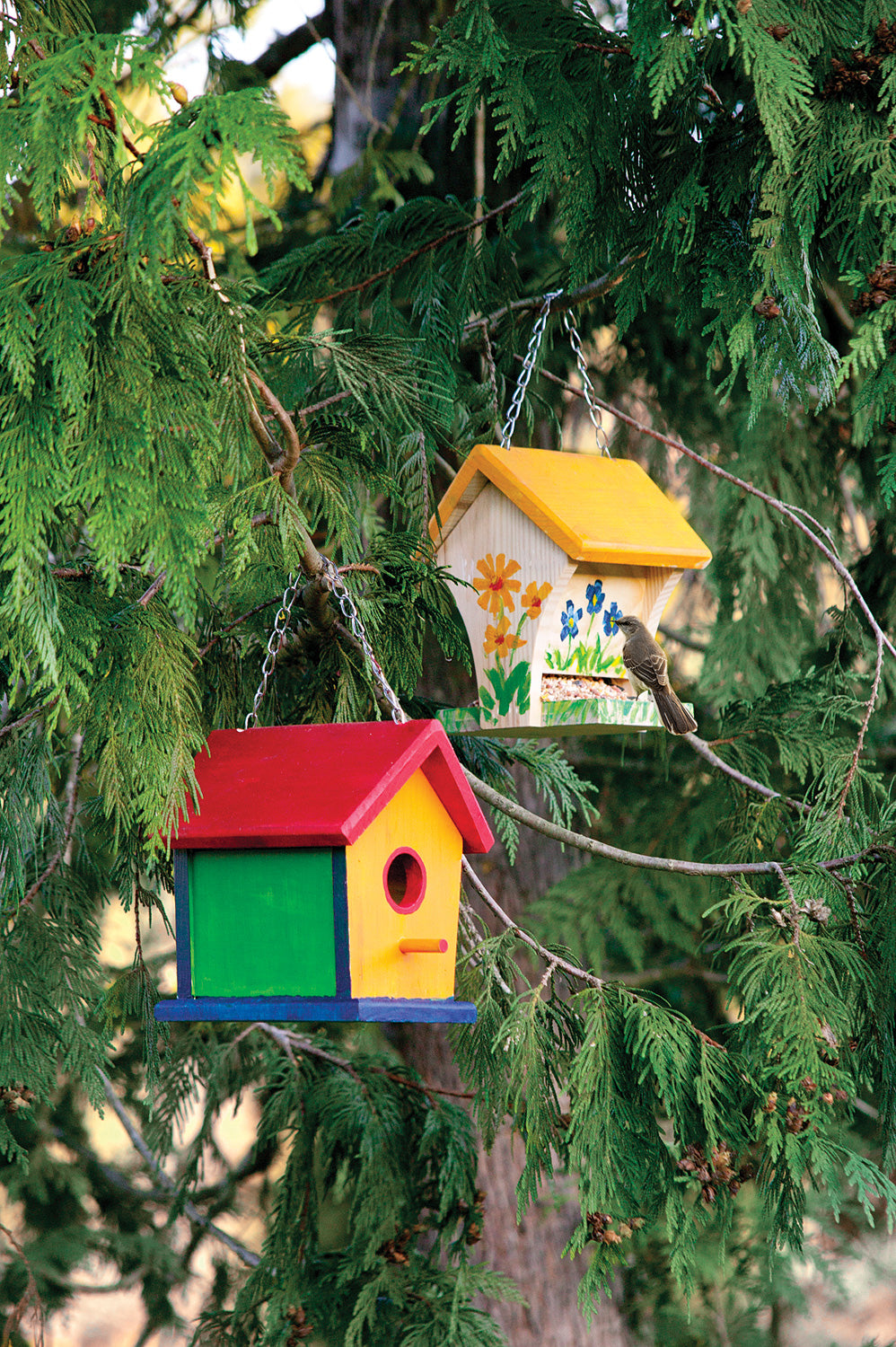 Paint A Birdhouse