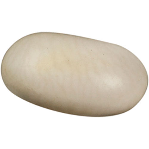 Jack and The Beanstalk Grdn