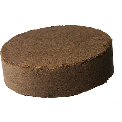 Jack and The Beanstalk Grdn