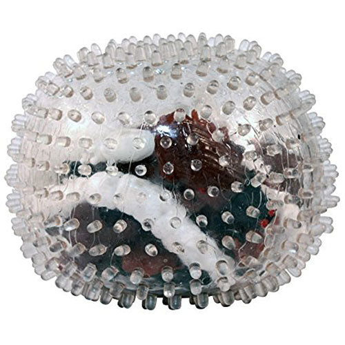 Creepy Worm, Flies and Bugs Squishy Balls - Set of 3