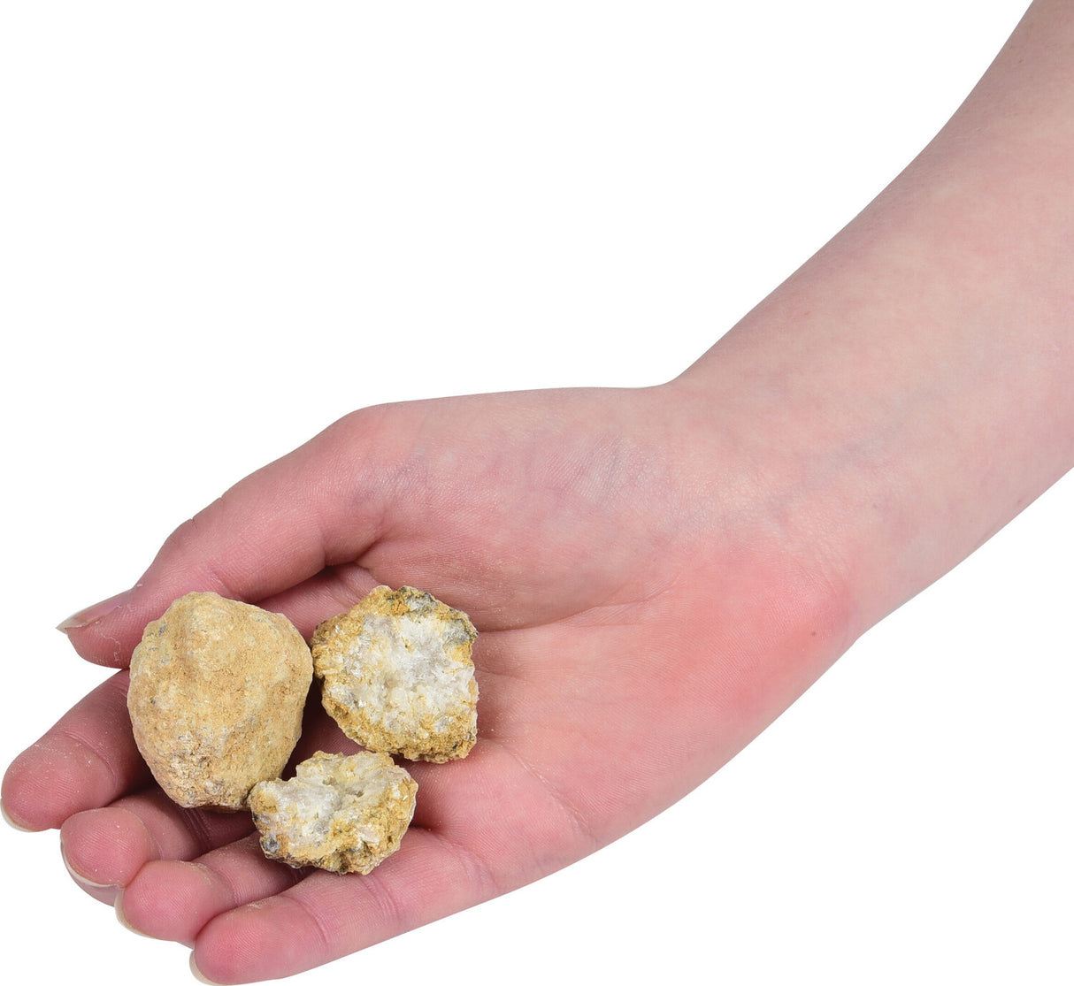 Smash n' Bash Geodes