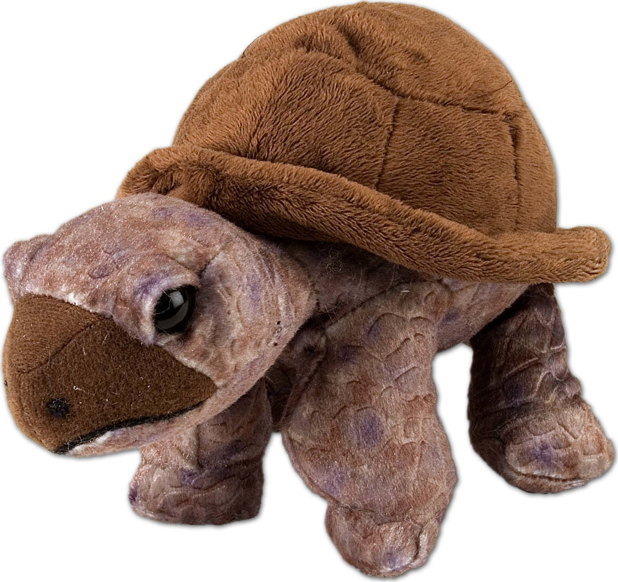 Tortoise Stuffed Animal - 8"