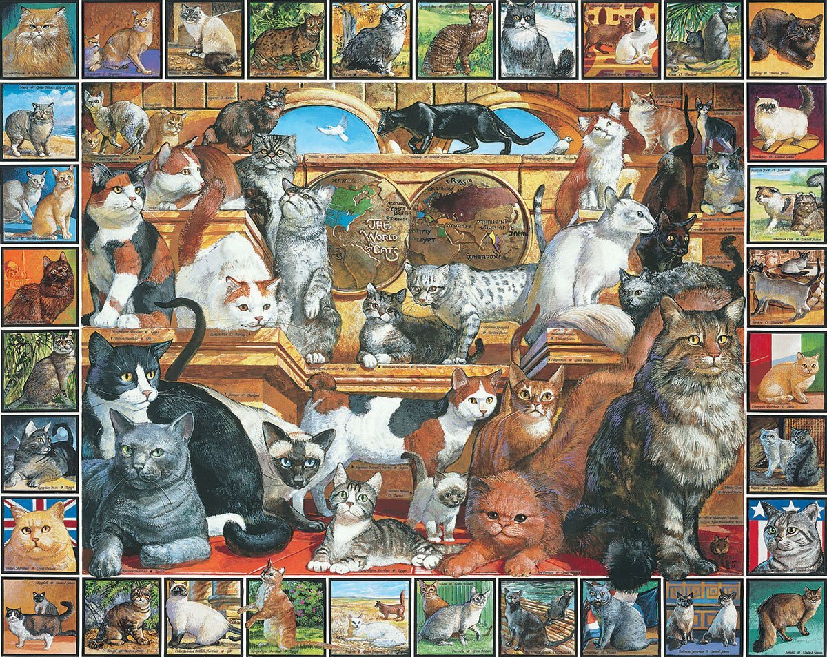 World of Cats Puzzle 1000pcs