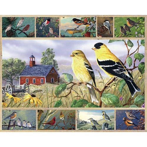Songbirds Puzzle 1000pcs
