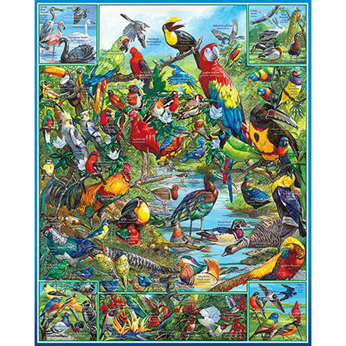 World's Most Beautiful Birds Puzzle 1000pcs