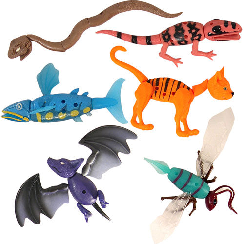 Zoomorphs Nightmorphs