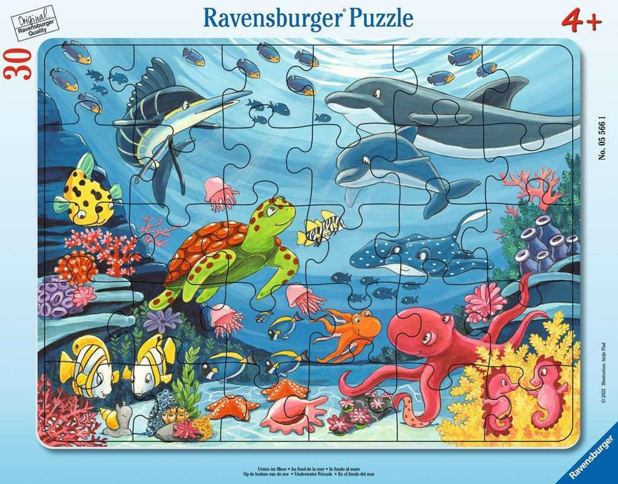 24-30pc Frame Puzzle (assorted)