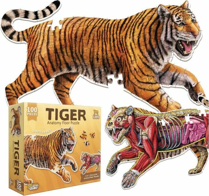 Puzzle: Animal Anatomy: Floor Puzzle: Tiger 100pc