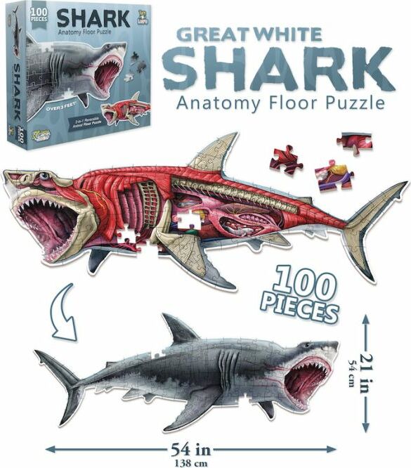 Puzzle: Animal Anatomy: Floor Puzzle: Shark 100pc