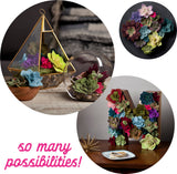 Craft Crush Felt Succulents Kit