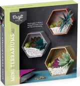 Craft Crush Mini Terrariums Kit