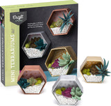Craft Crush Mini Terrariums Kit