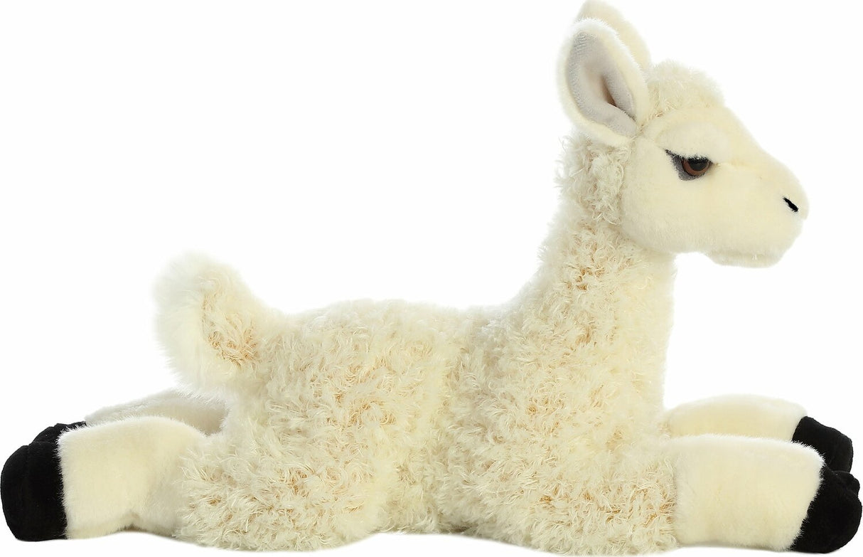 Llama
