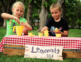 Lemonade Set