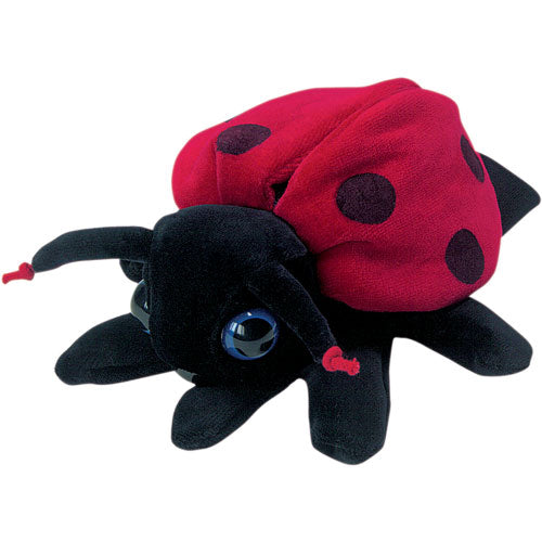 Ladybug