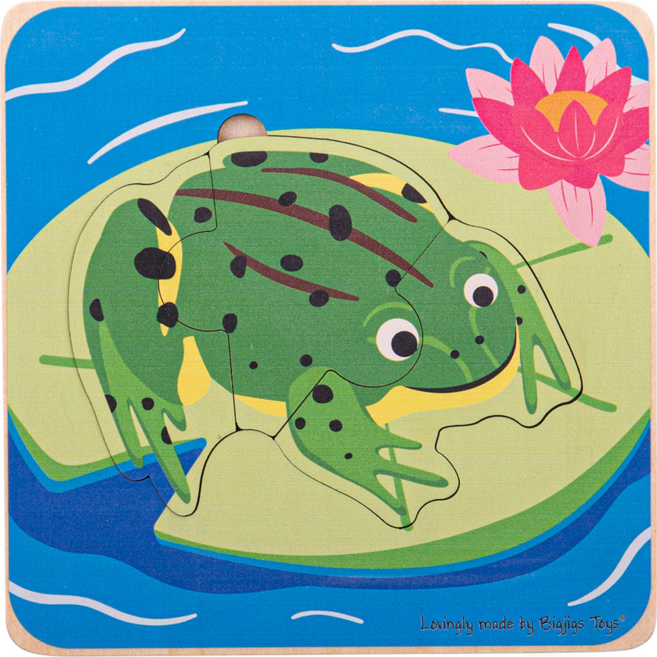 Lifecycle Layer Puzzle - Frog