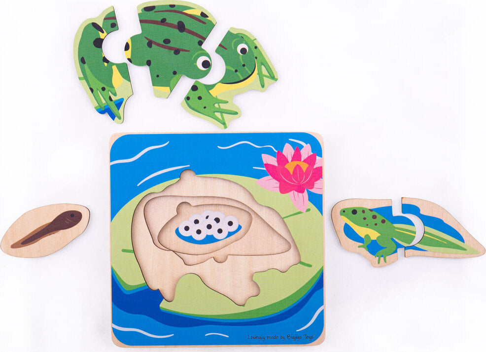 Lifecycle Layer Puzzle - Frog