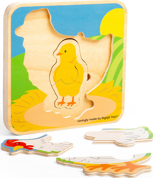 Lifecycle Puzzle - Chicken